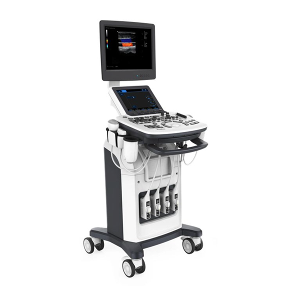 HB112 Cardiac 4D Color Doppler