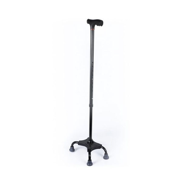 Walking Stick with Four Legs